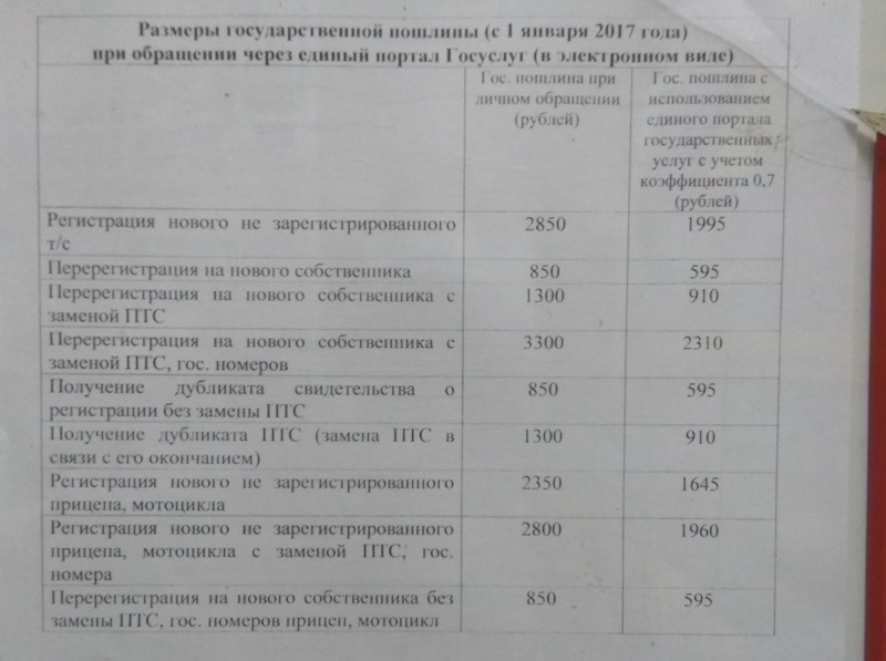 123.jpg